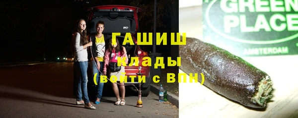 шишки Аркадак
