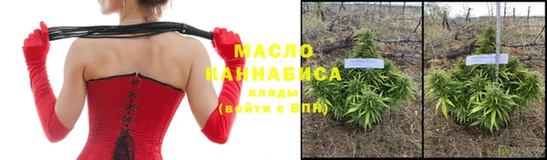 шишки Аркадак