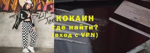шишки Аркадак