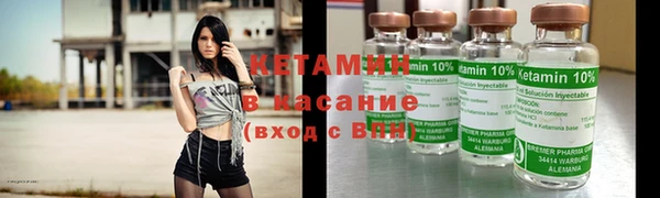 шишки Аркадак