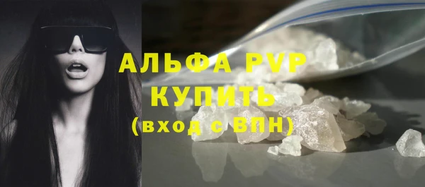 шишки Аркадак