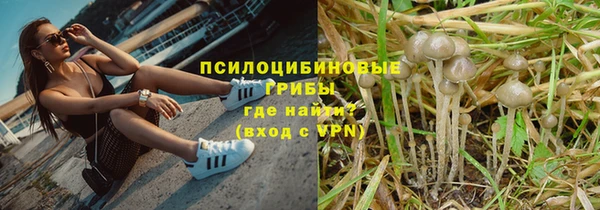 не бодяженный Армянск